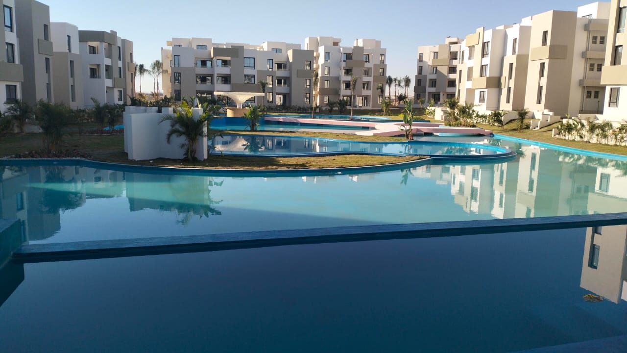 صورة 2